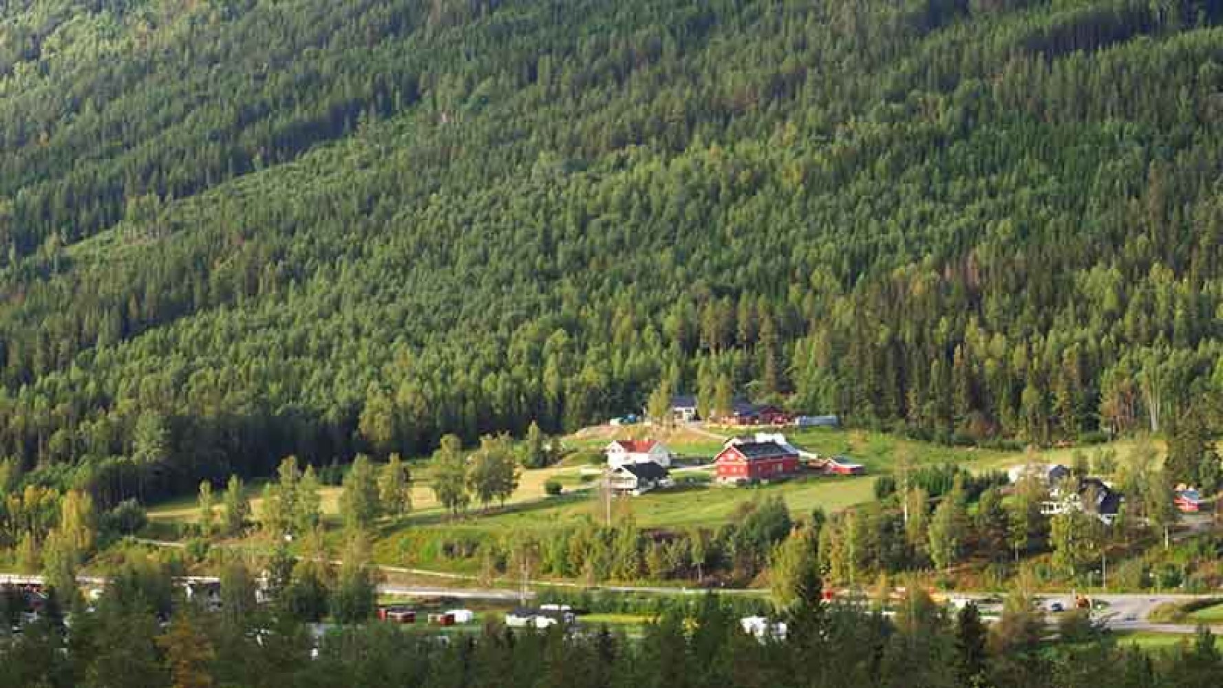 Gård som ligger helt oppunder skogen i dalsida.