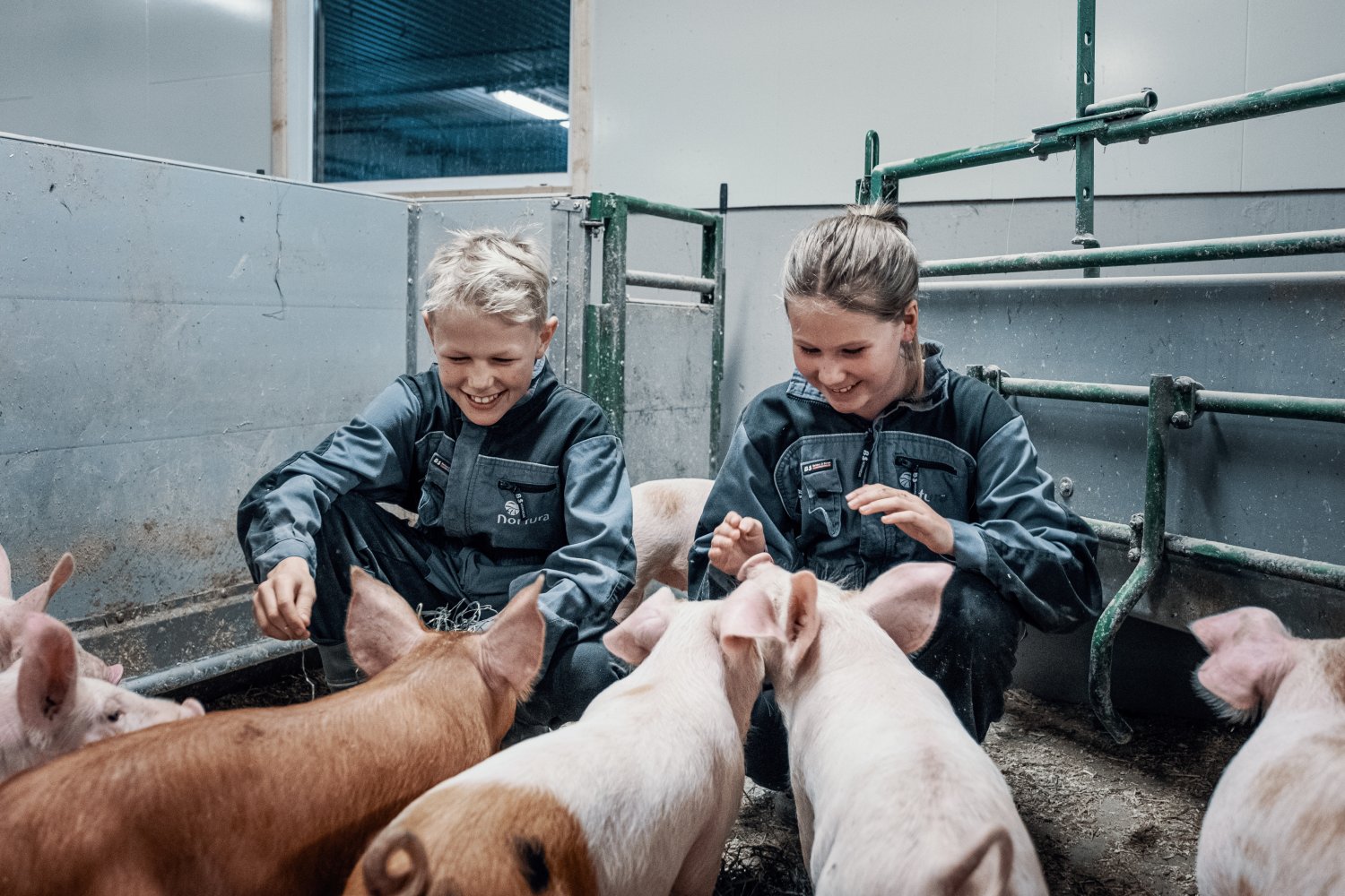 En familie sitter med sauene på et jorde.