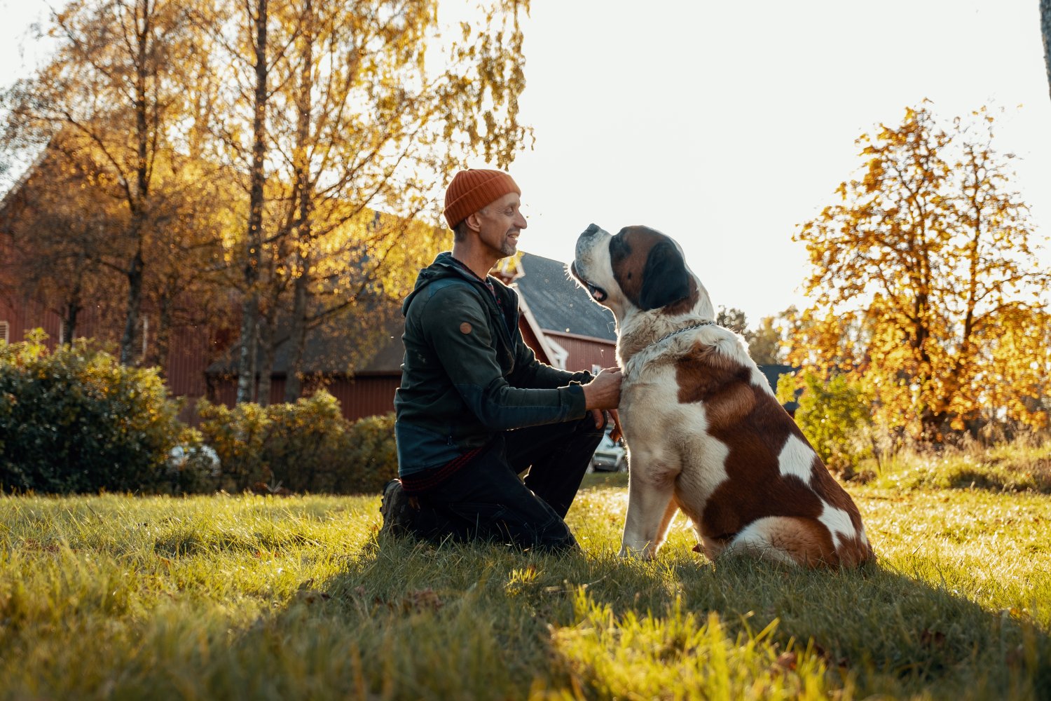 Mann med sankt bernhardshund