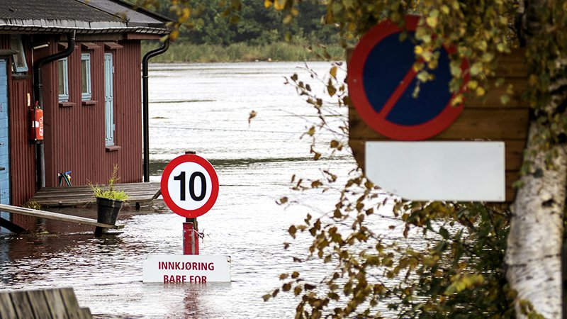 Mørkt. Vindu. Regn. Vind.