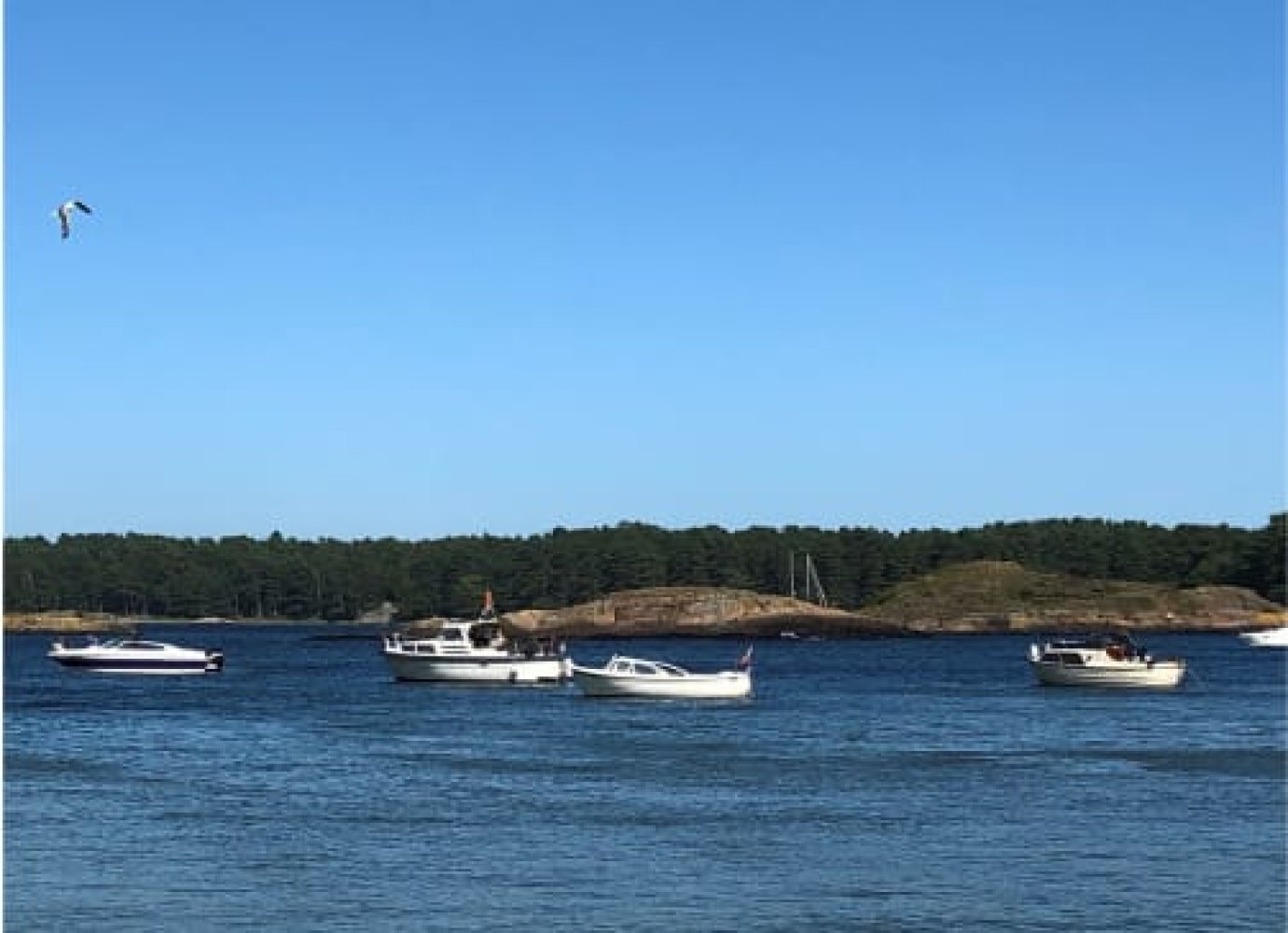 Båter på sjøen