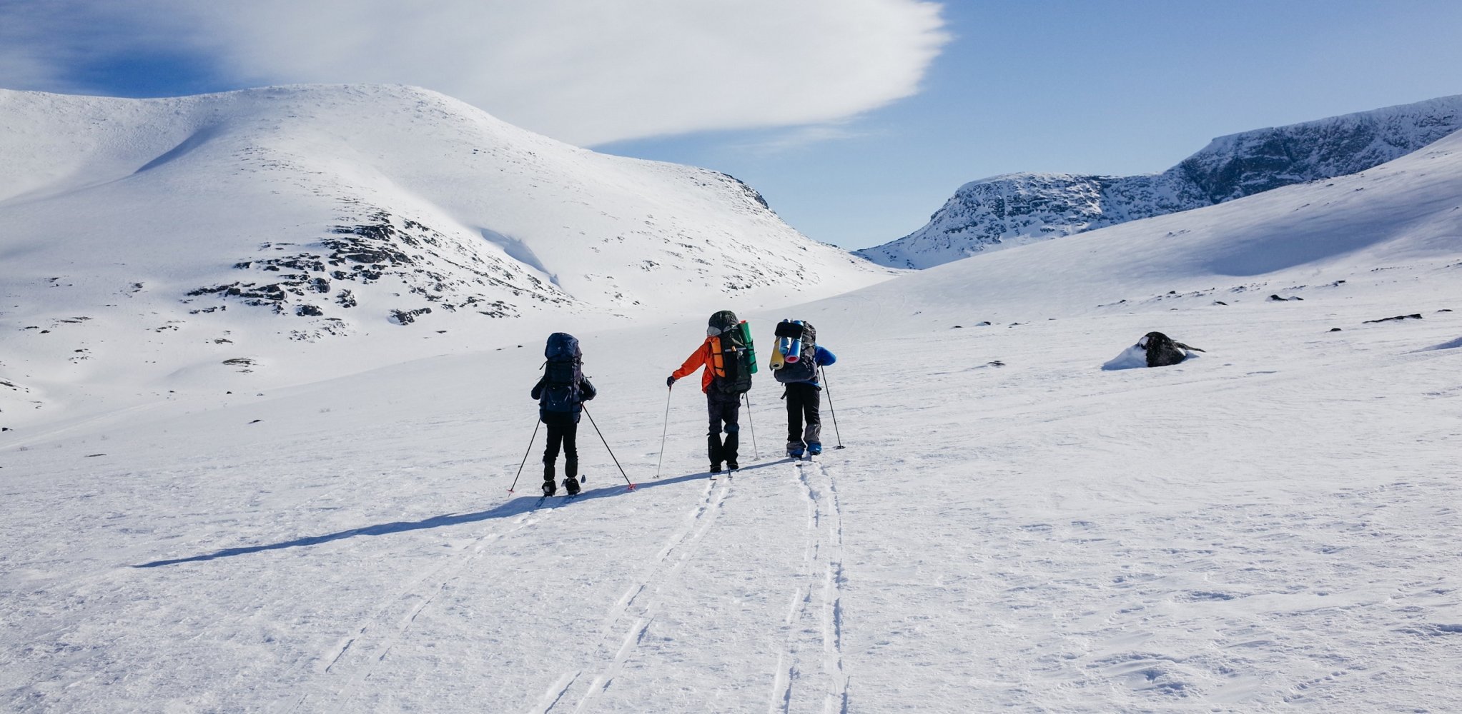 Skitur. Fjellet. Klarvær. Skispor. Snø