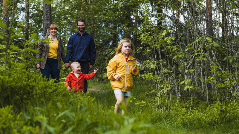 Familie ute på skogstur. Mamma og pappa bak, to barn foran. 