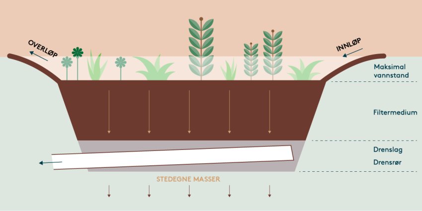 Viser vanlig oppbygging av regnbed