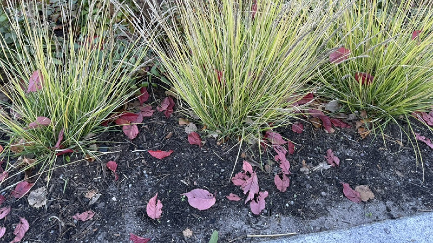 Lite kontormiljø i møte.